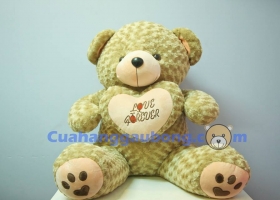Bài Văn Tả Gấu Bông Cực Dễ Thương Của Các Bé Tiểu Học
