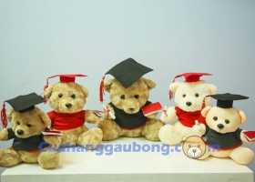 Gấu bông tốt nghiệp - món quà tốt nghiệp mang đầy ý nghĩa