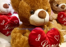 Cửa hàng gấu bông - Binh đoàn gấu bông ôm tim I Love You đổ bộ tại Cửa Hàng Gấu Bông
