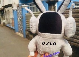 Chỉ cần bạn nói một câu thôi, Cửa hàng gấu bông sẽ sản xuất gấu bông theo yêu cầu riêng của riêng bạ