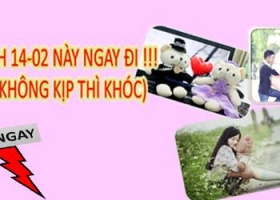 Ưu đãi 14/02 tại Cửa Hàng Gấu Bông chương trình tỏ tình ngay kẻo lỡ