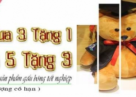 Cửa hàng gấu bông - Tưng bừng khuyến mãi Gấu tốt nghiệp Dr. Bear tháng 7/2017