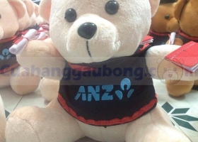 Cửa hàng gấu bông - Cửa hàng gấu bông hợp tác cùng ngân hàng ANZ