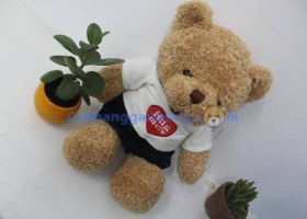 Cửa hàng gấu bông – Ra mắt sản phẩm gấu bông Teddy Hug me 2017