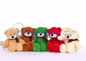 Cửa hàng gấu bông - Gấu Teddy Cuddy five colours