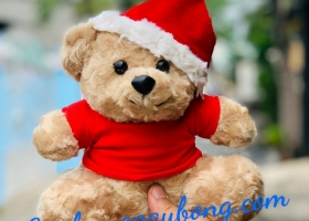 Gấu bông mùa Noel tại Cửa Hàng Gấu Bông