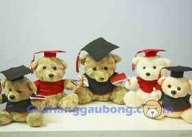 Cửa Hàng Gấu Bông Khuyến Mãi Cực SỐC Mùa Tốt Nghiệp