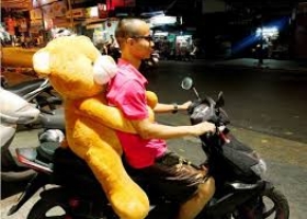 Những hình ảnh Vui nhộn! Chàng trai chở Gấu Bông đi chơi.