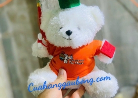 Những bé gấu bông mang vẻ đẹp tri thức của hệ thống toán tư duy - The Magic