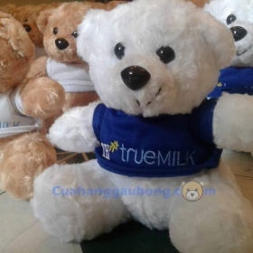 3000 CHÚ GẤU TH TRUE MILK ĐÃ CÓ MẶT TẠI CỬA HÀNG GẤU BÔNG 