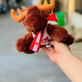 Chú tuần lộc - Biểu tượng không thể thiếu mùa Noel 