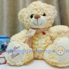 Teddy quàng khăn quàng - quà tặng ấm áp mùa đông về