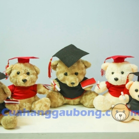 Gấu Bông Tốt Nghiệp