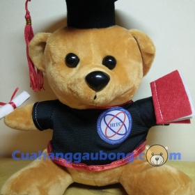Gấu Bông Tốt Nghiệp CĐ Công Thương 