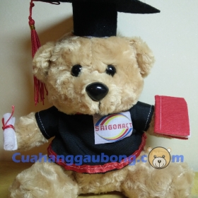 Gấu bông tốt nghiệp cđ văn hóa nghệ thuật và du lịch Sài Gòn