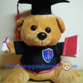 Gấu Bông Tốt Nghiệp ĐH Nguyễn Tất Thành