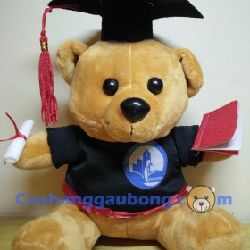 Gấu Bông Tốt Nghiệp ĐH THủ Dầu Một