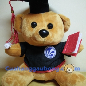 Gấu Bông Tốt Nghiệp ĐH Văn Hóa