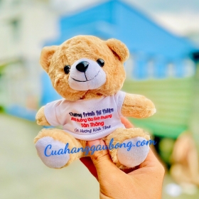 Gấu bông chương trình từ thiện 