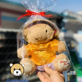 3000 gấu bông VietjetAir Theo yêu cầu