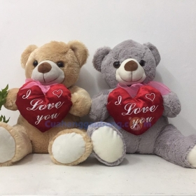 Gấu teddy ôm tim I Love You