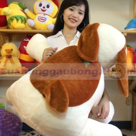 Chó bông nằm bệt siêu dễ thương