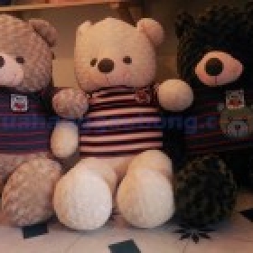 Gấu Bông Teddy