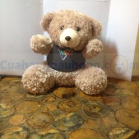 Teddy Close up FAescape Event