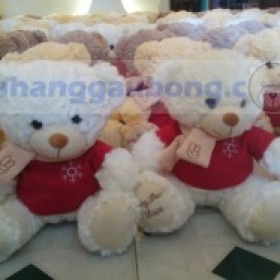 Gấu bông Teddy MANULIFE