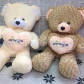 Teddy NetN@m