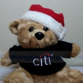 Gấu bông Teddy Citybank