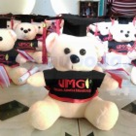 Gấu bông tốt nghiệp VMG