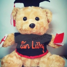 Gấu bông tốt nghiệp Dr.Teddy 35cm