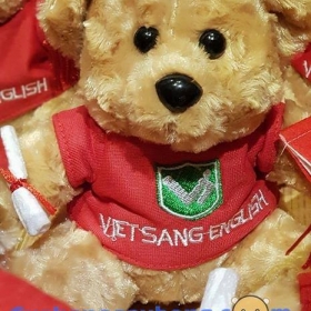  500 gấu bông anh ngữ Vietsang tại cửa hàng gấu bông